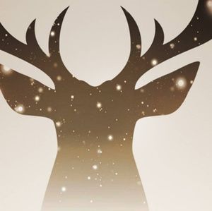 Meet your Posher, Hayley